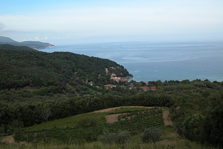 Isola d'Elba panorama mare boschi